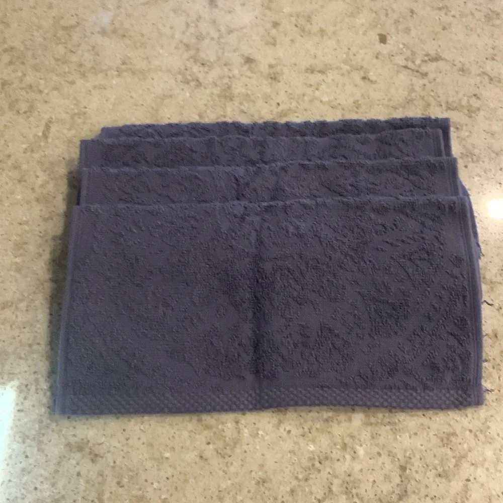 NWOT Carolina Collection Washcloths - 4